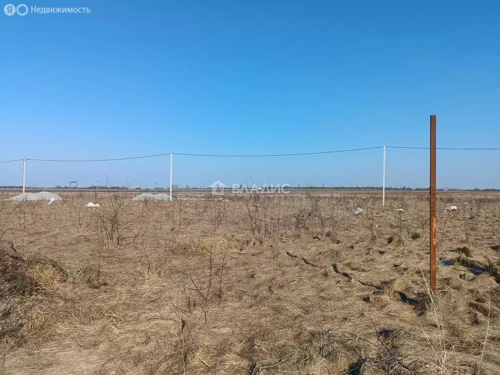 Участок в Калининградская область, Зеленоградский муниципальный округ, ... - Фото 2