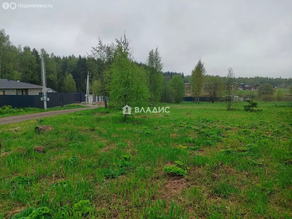 Участок в Московская область, городской округ Щёлково, территория ... - Фото 2