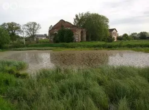 Участок в Кипенское сельское поселение, деревня Глухово, Лютиковый ... - Фото 1