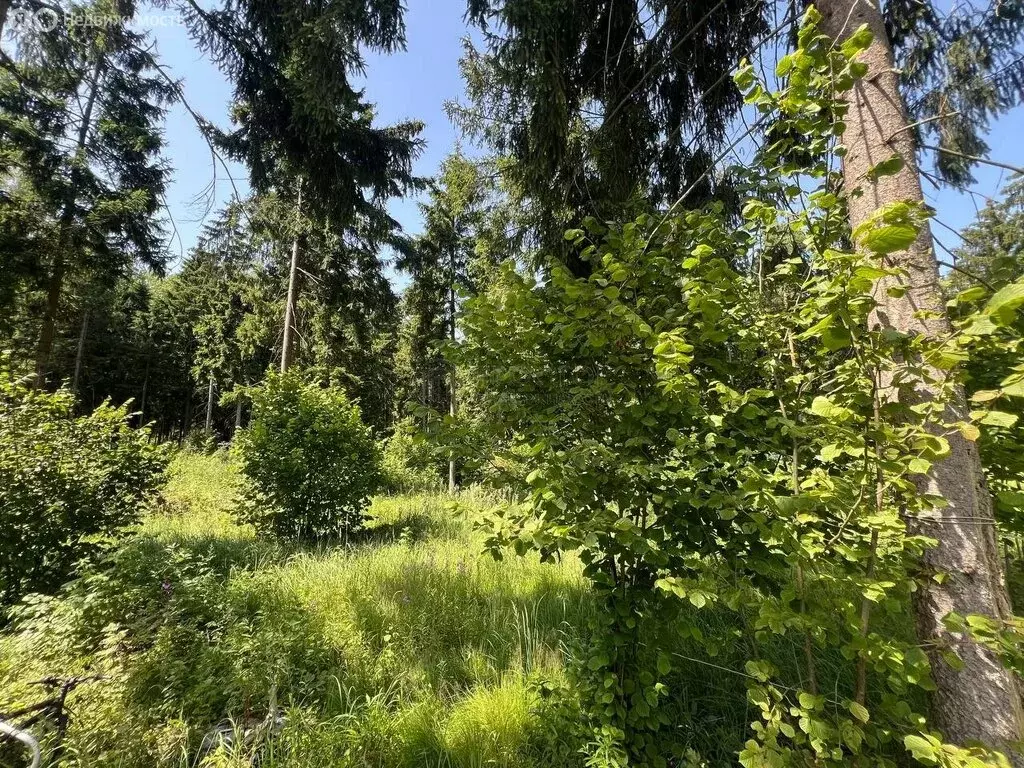 Участок в Московская область, Одинцовский городской округ, посёлок НИИ ... - Фото 1