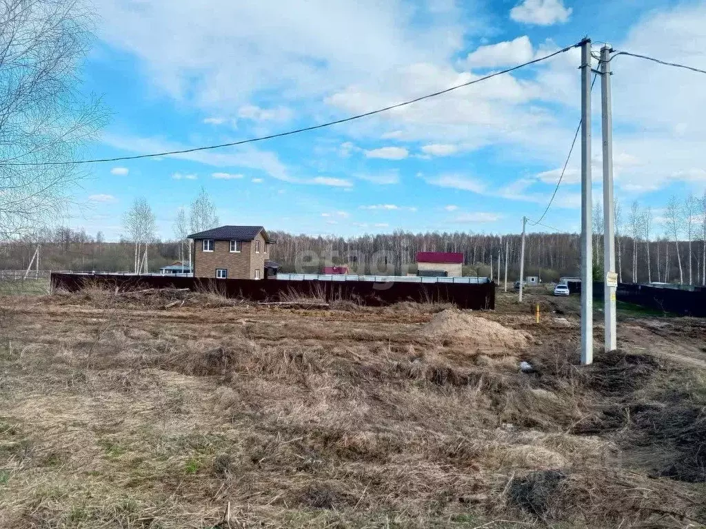 Участок в Нижегородская область, Богородский муниципальный округ, д. ... - Фото 0