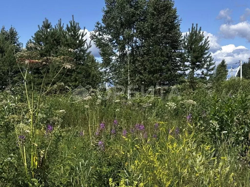 Участок в Тюменская область, Тюмень Березняковский мкр, ул. ... - Фото 2