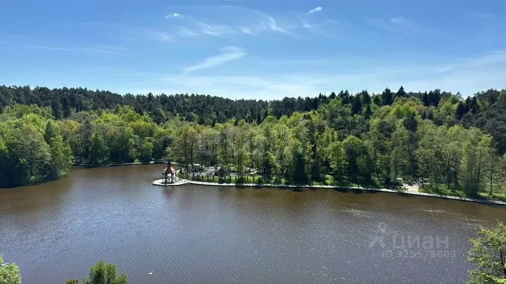 1-к кв. Калининградская область, Светлогорск Подгорная ул., 1 (42.0 м) - Фото 1