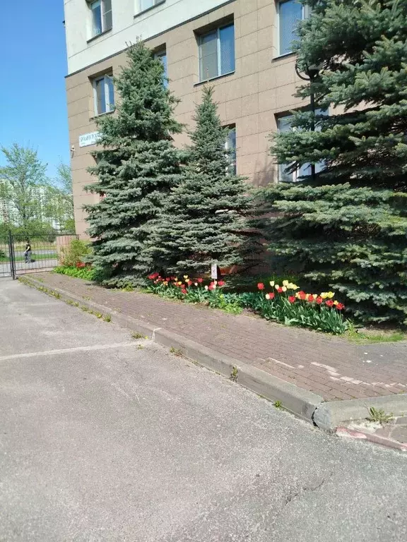 1-к кв. Санкт-Петербург Бухарестская ул., 110к1 (57.5 м) - Фото 2