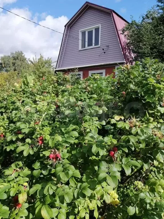 Дом 114,6 м на участке 18,8 сот. - Фото 0