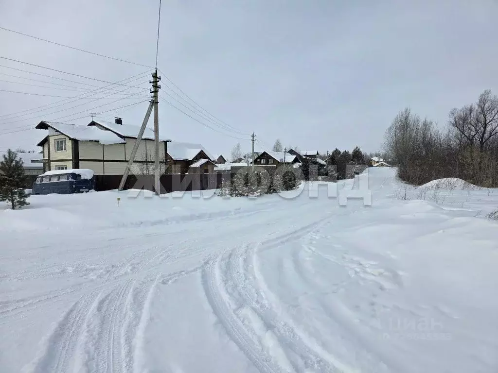 Участок в Алтайский край, Барнаул городской округ, пос. Бельмесево ул. ... - Фото 2