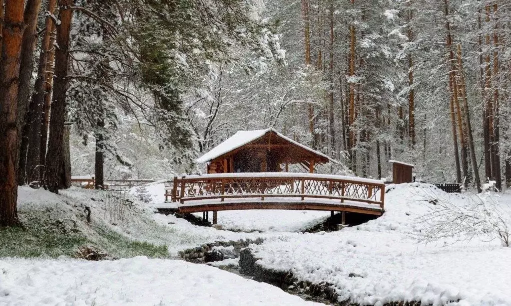 Комната Алтай, Шебалинский район, с. Камлак  (10.0 м) - Фото 0