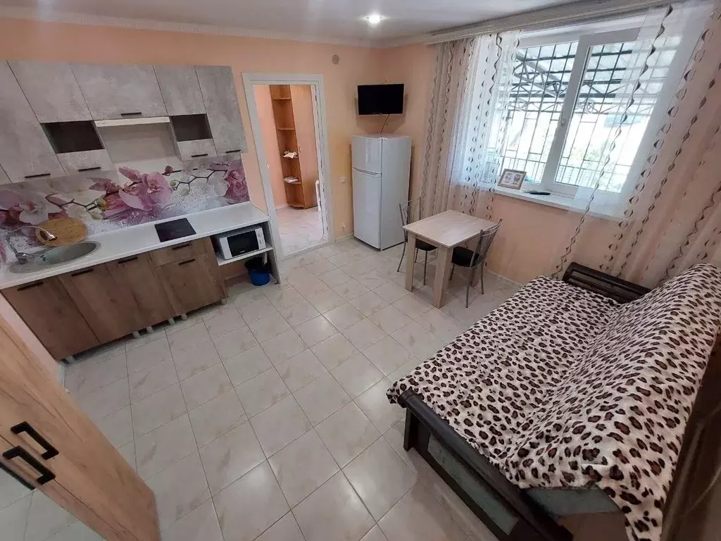Студия Севастополь 5-й километр мкр,  (30.0 м) - Фото 2