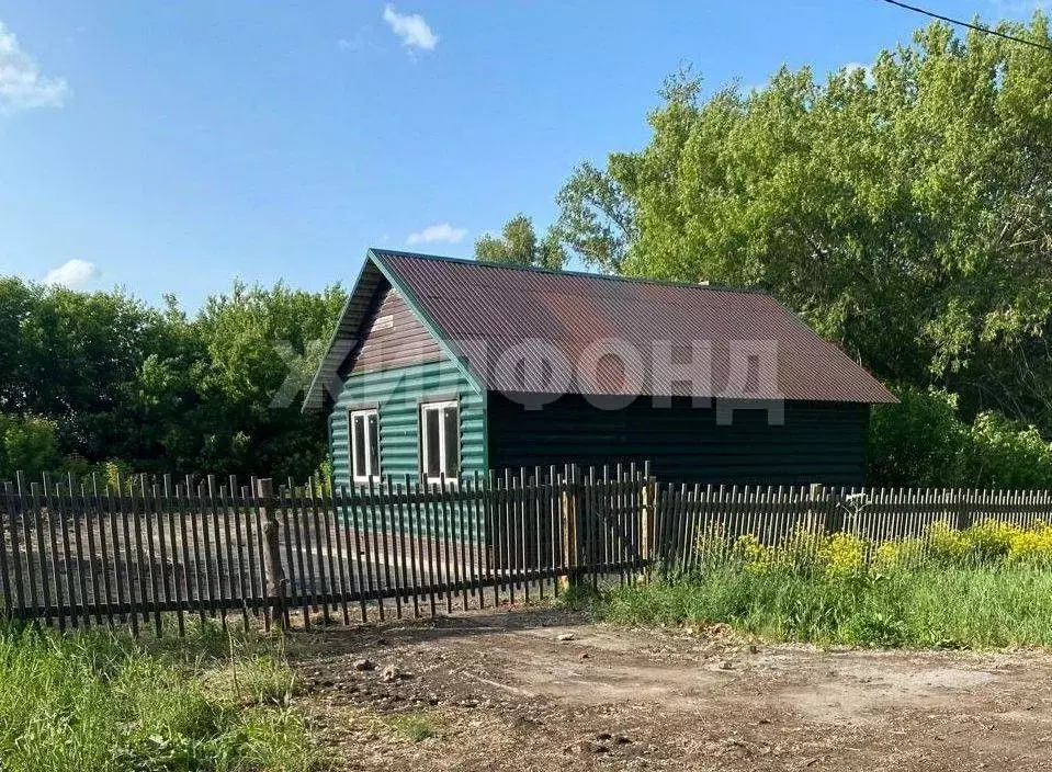 Дом в Новосибирская область, Черепановский район, пос. Безменово ул. ... - Фото 0