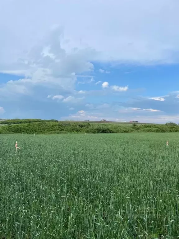 Участок в Ростовская область, Ростов-на-Дону Защитник садовое ... - Фото 0