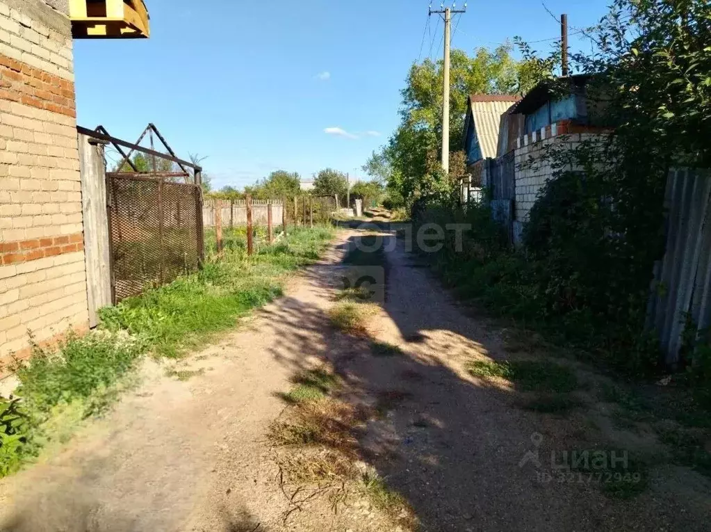 Участок в Оренбургская область, Оренбургский район, Благословенский ... - Фото 1