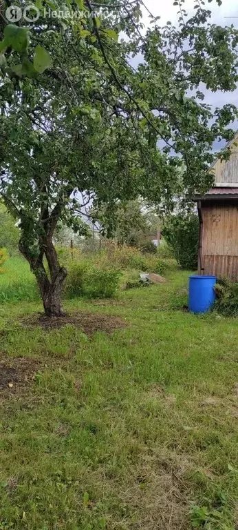 Дом в Мшинское сельское поселение, садоводческий массив Дивенская, СНТ ... - Фото 1