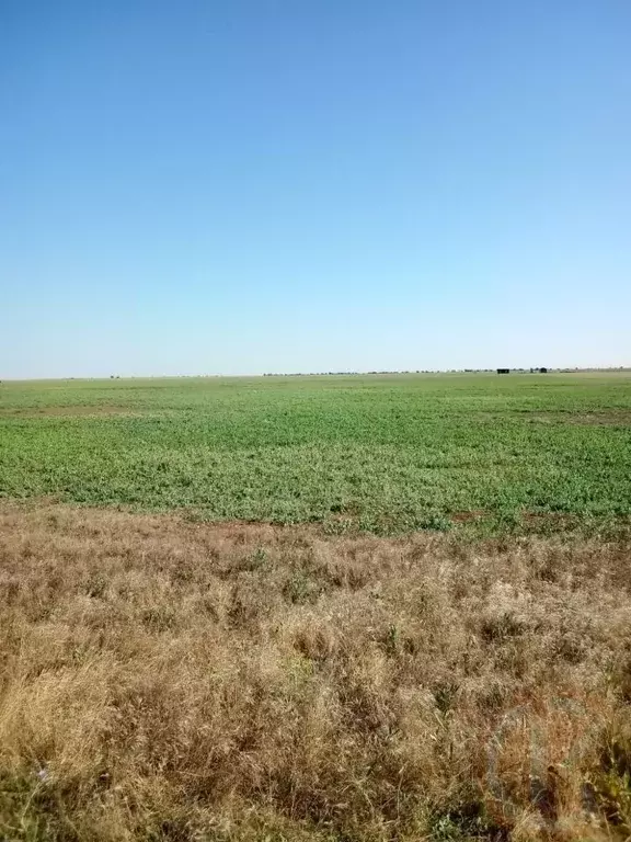 Участок в Крым, Сакский район, с. Уютное бул. Морской (60.0 сот.) - Фото 2