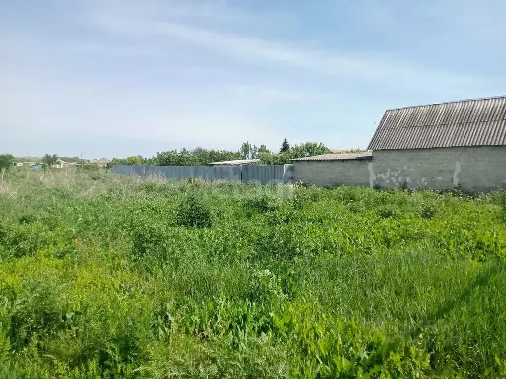 Участок в Белгородская область, Волоконовка рп пл. Центральная (15.0 ... - Фото 1