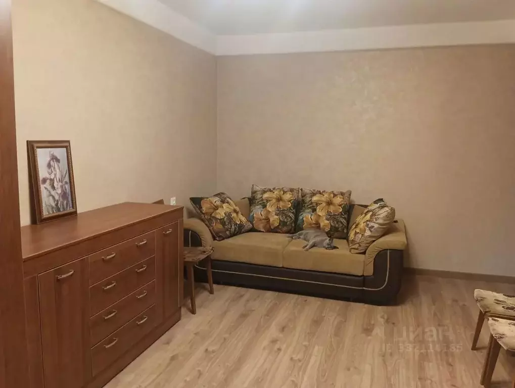 Комната Санкт-Петербург просп. Луначарского, 70К1 (18.0 м) - Фото 1