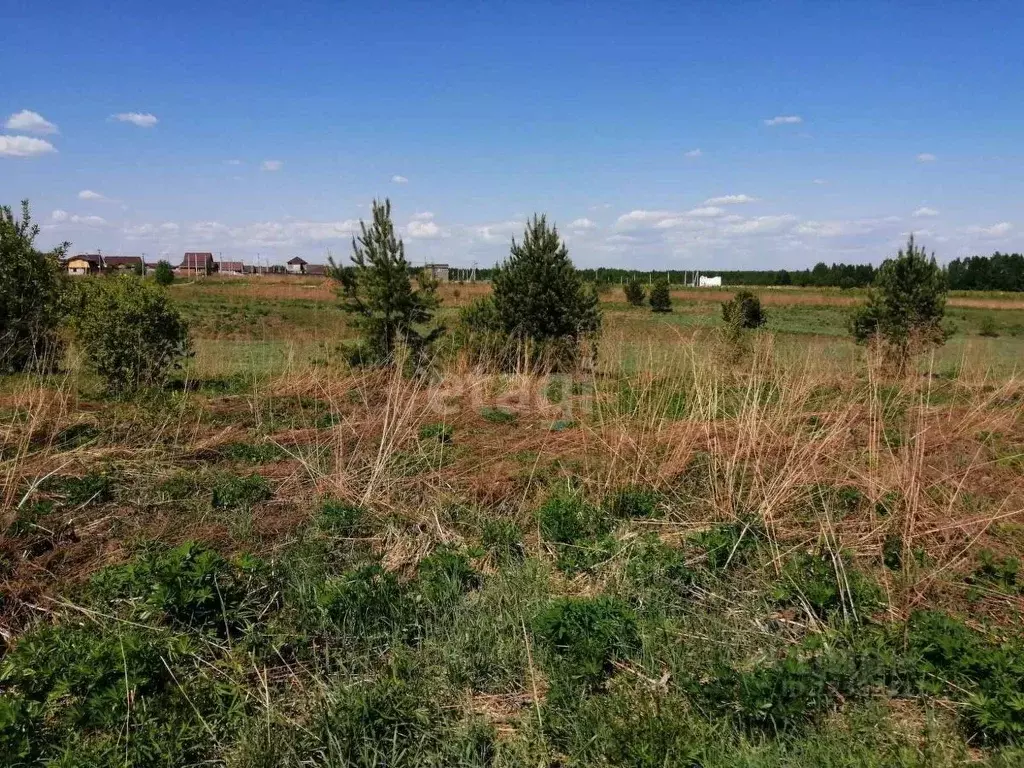 Участок в Удмуртия, Завьяловский район, д. Сизево  (10.0 сот.) - Фото 0