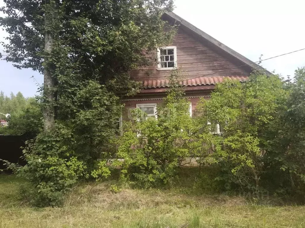 Дом в Новгородская область, Боровичи ул. Бумажников, 60 (58 м) - Фото 1