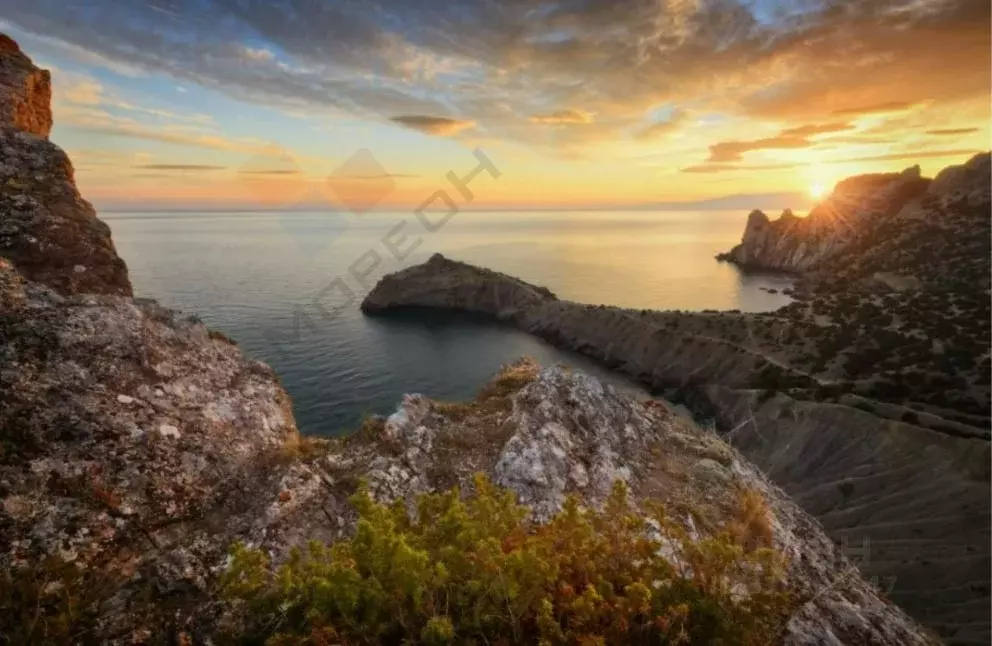 Участок в Крым, Черноморский район, с. Новосельское, Мечта-1 СНТ 651 ... - Фото 0