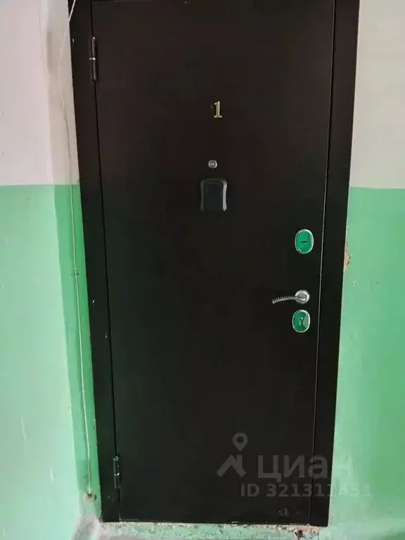 1-к кв. Воронежская область, Борисоглебск Третьяковская ул., 5 (34.0 ... - Фото 2