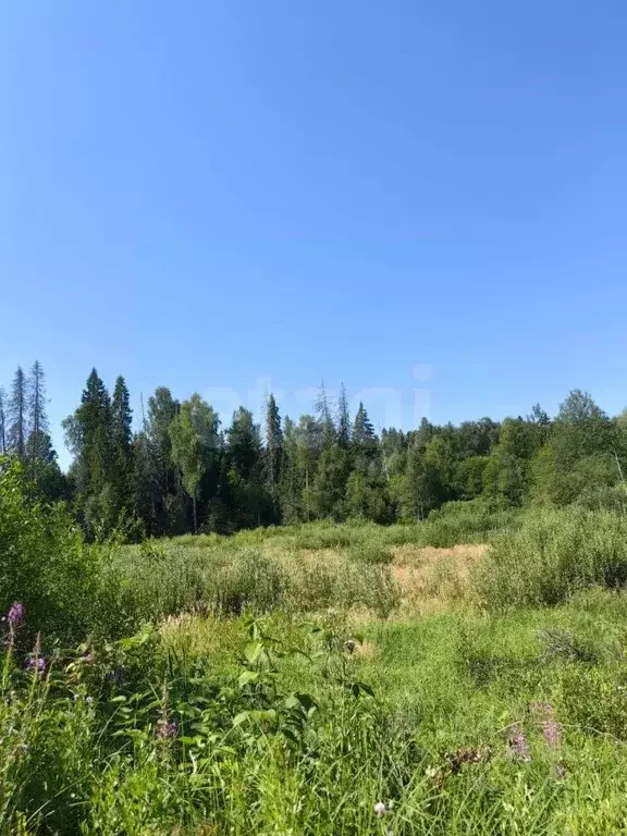 Участок в Московская область, Истра городской округ, Лесная Богемия кп ... - Фото 0