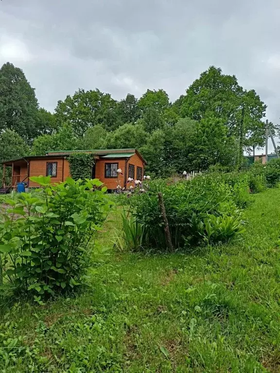 Дом в Тульская область, Алексин городской округ, д. Дулево  (65 м) - Фото 2