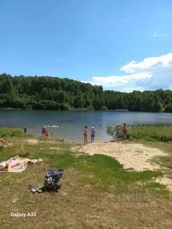 Участок в Нижегородская область, Богородский муниципальный округ, д. ... - Фото 1