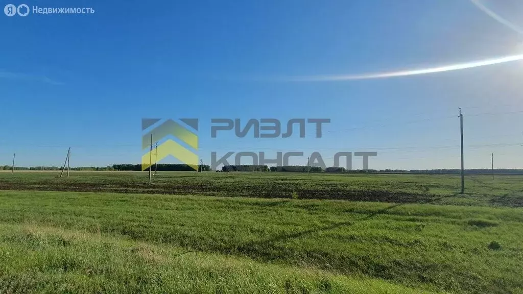 Участок в Омская область, муниципальный округ Черлакский район, село ... - Фото 1