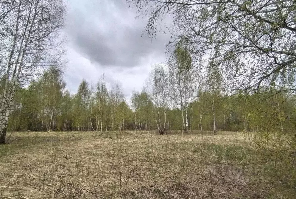 Участок в Московская область, Рузский муниципальный округ, д. ... - Фото 0