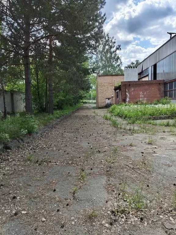 Производственное помещение в Татарстан, Нижнекамск ул. Соболековская, ... - Фото 1