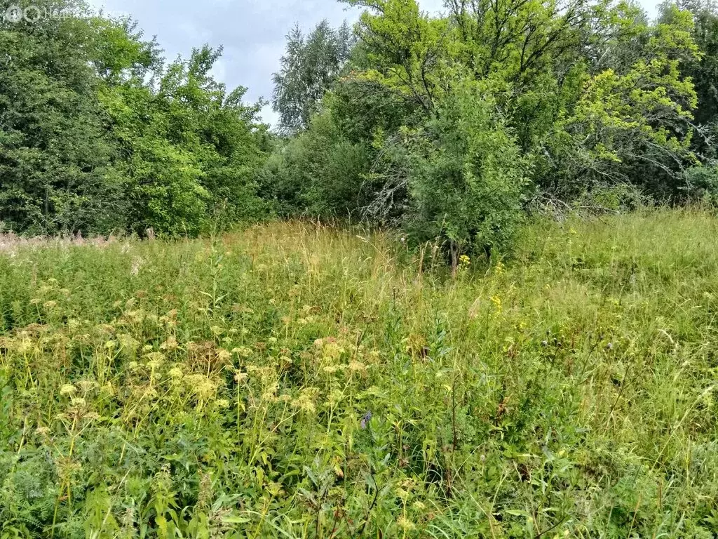Участок в Рощинское сельское поселение, деревня Байнёво, Центральная ... - Фото 2