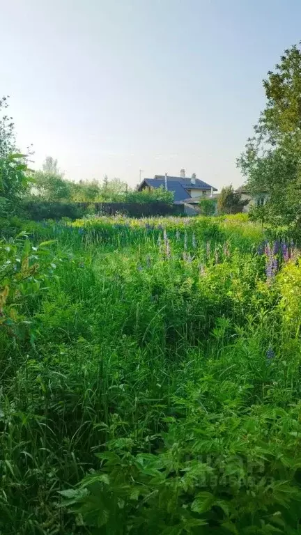 Участок в Санкт-Петербург, Санкт-Петербург, Павловск Славяночка-2 СНТ, ... - Фото 1