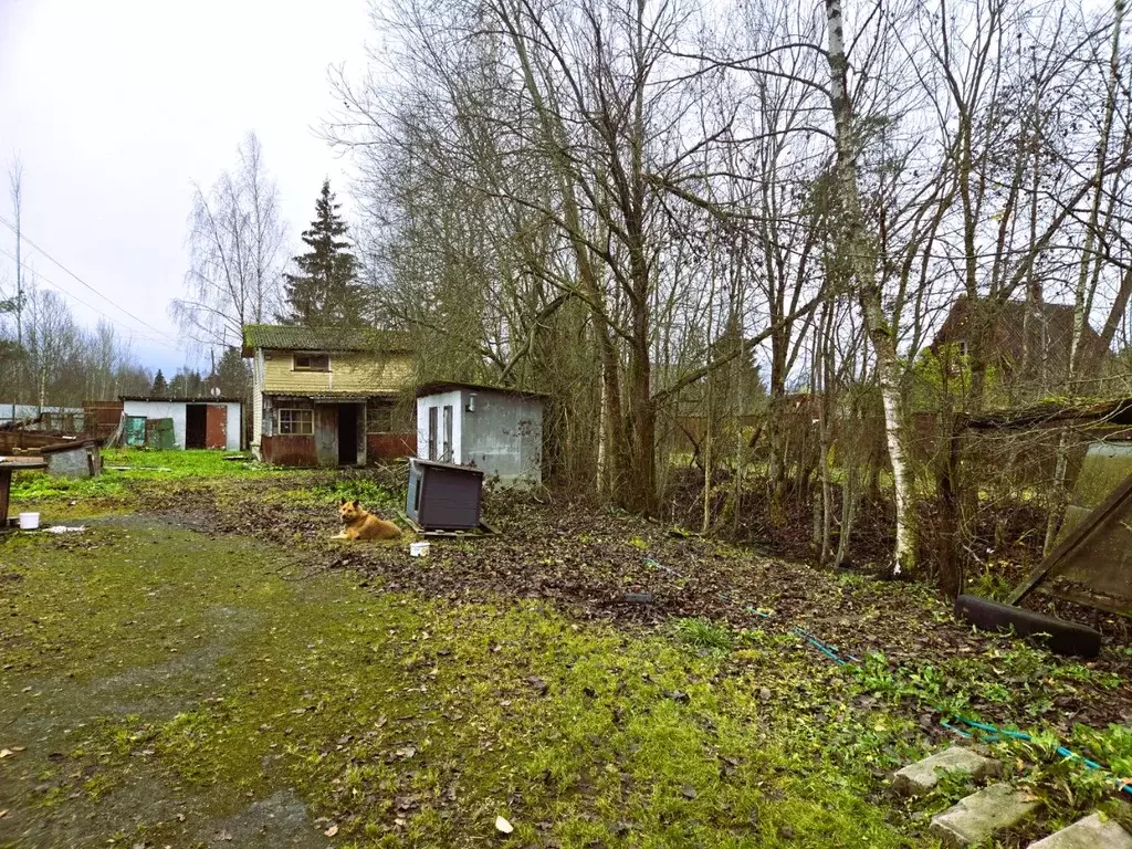 Дом в Ленинградская область, Гатчинский муниципальный округ, Вырица ... - Фото 2