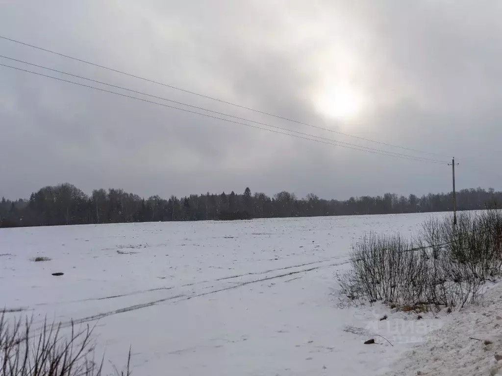 Участок в Московская область, Шаховская городской округ, с. Белая ... - Фото 1