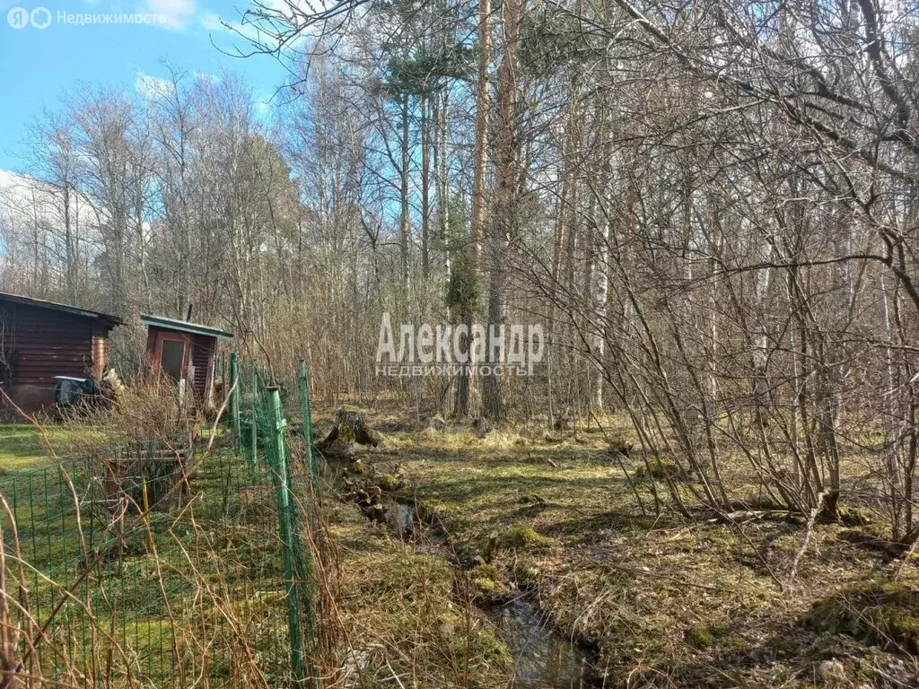 Участок в Приозерский район, Петровское сельское поселение, деревня ... - Фото 0