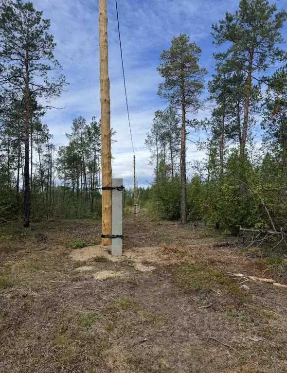 Участок в Саха (Якутия), Мегино-Кангаласский улус, Нижний Бестях пгт ... - Фото 2