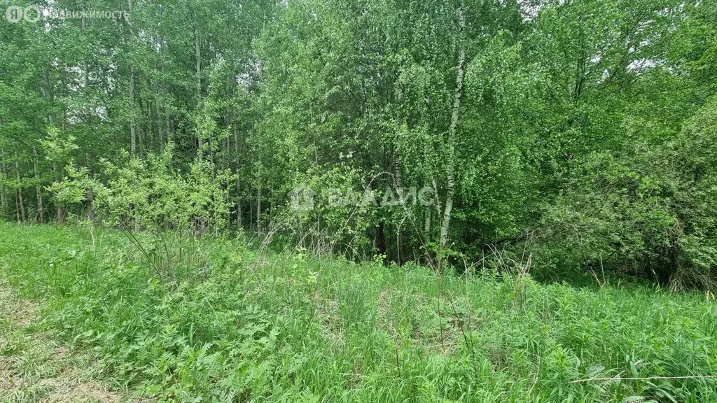 Участок в Вологодский муниципальный округ, территория Восток (28 м) - Фото 0