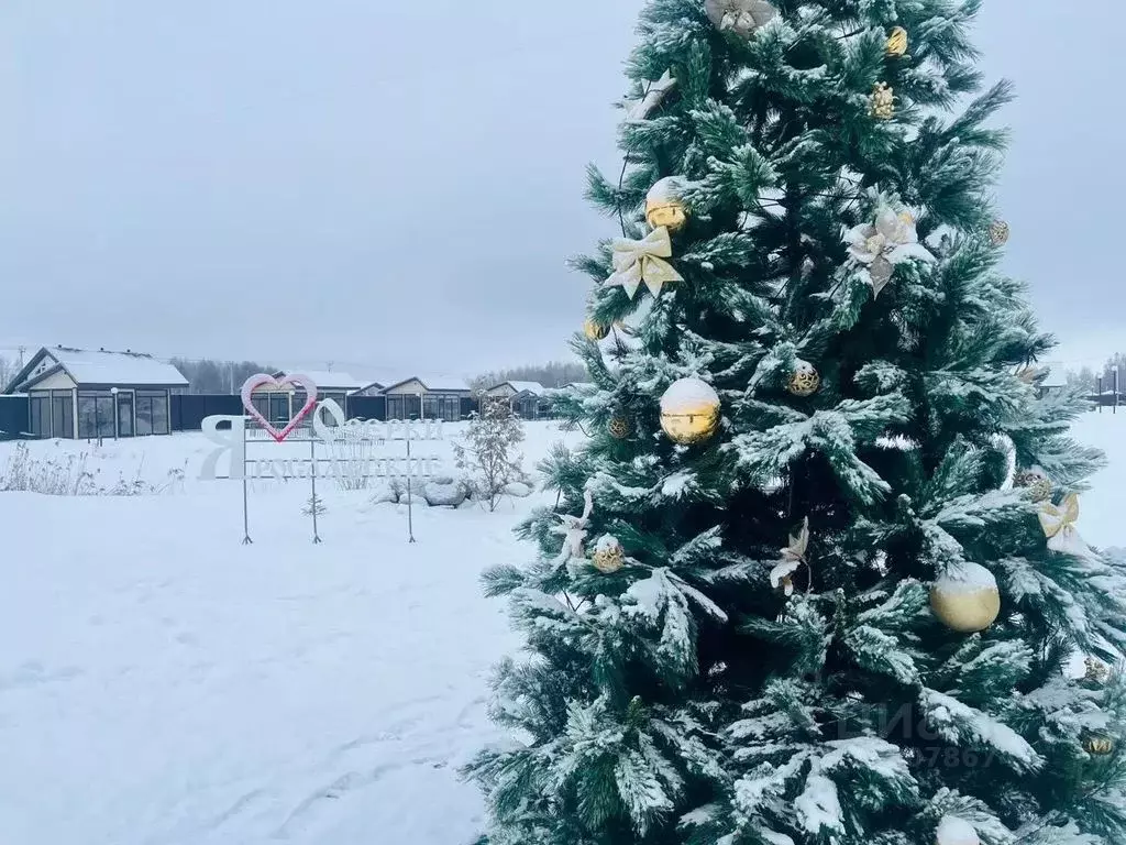 Дом в Ярославская область, Ярославский муниципальный округ, ... - Фото 2