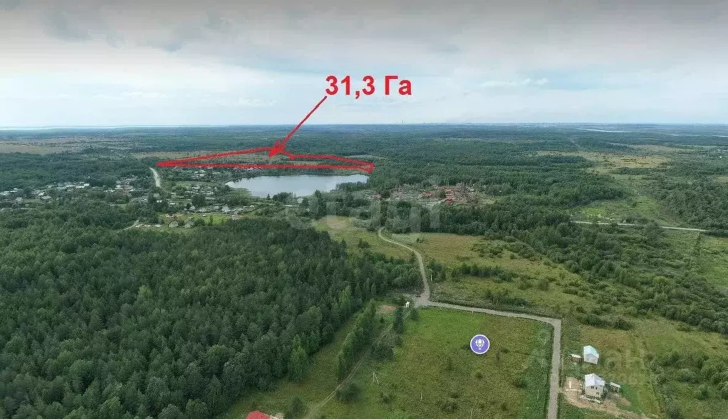 Участок в Вологодская область, Череповецкий район, Югское ... - Фото 1