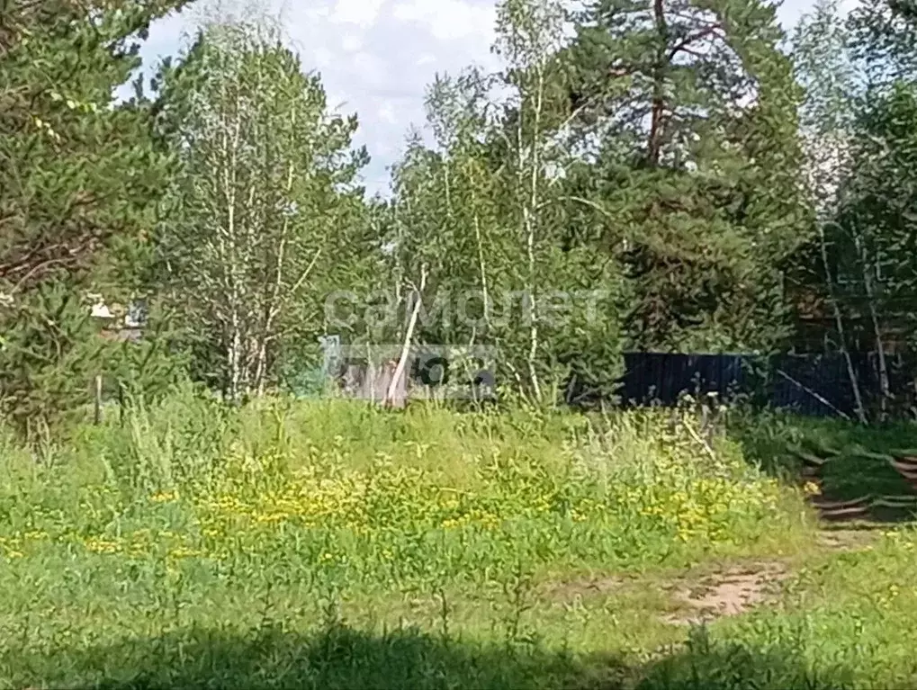 Участок в Забайкальский край, Читинский район, Радость ТСН  (15.0 ... - Фото 1