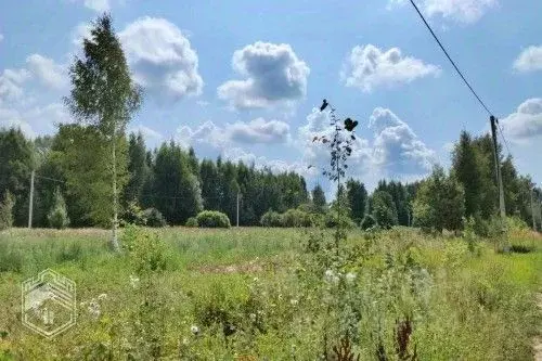Участок в Новгородская область, Новгородский район, Бронницкое с/пос, ... - Фото 1