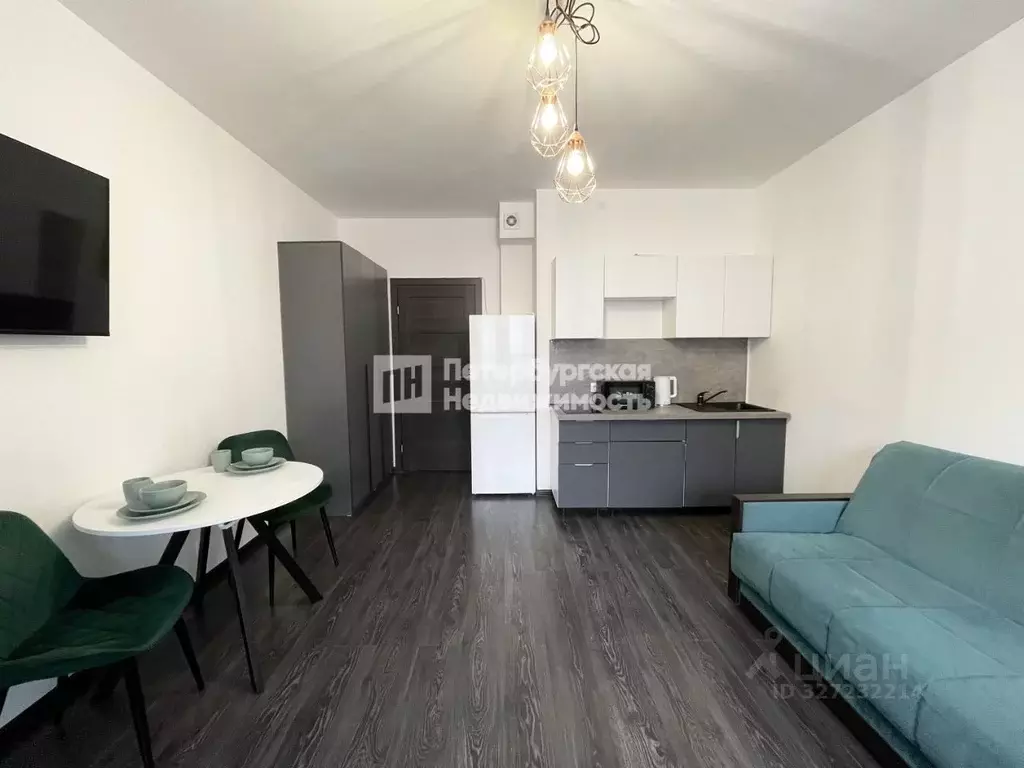 Студия Санкт-Петербург просп. Ветеранов, 196 (24.4 м) - Фото 2