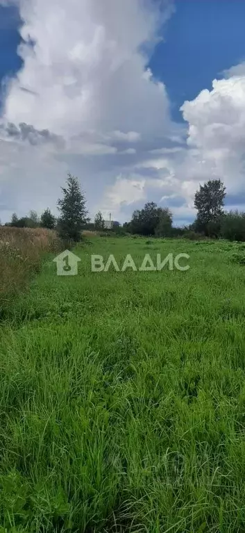 Участок в Московская область, Талдомский городской округ, д. Танино 36 ... - Фото 0