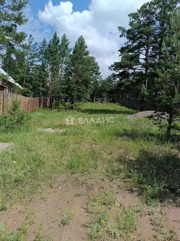 Участок в Бурятия, Тарбагатайский район, Саянтуйское муниципальное ... - Фото 0