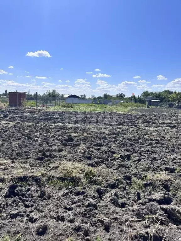 Участок в Краснодарский край, Ейский район, Кухаривское с/пос, с. ... - Фото 2