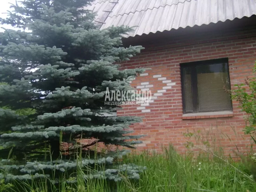 Дом в Ленинградская область, Лужский район, Мшинское с/пос, Мшинская ... - Фото 2