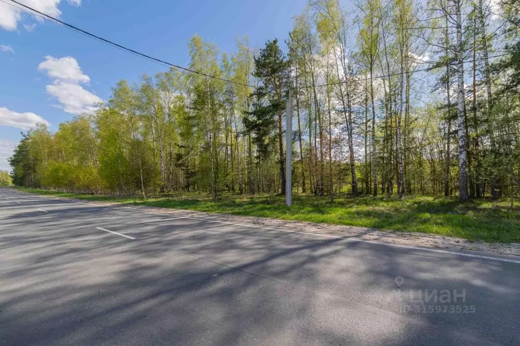 Участок в Владимирская область, Судогодский район, Лавровское ... - Фото 0