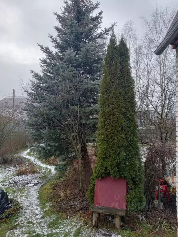 Комната Московская область, Раменский муниципальный округ, д. Сафоново ... - Фото 1