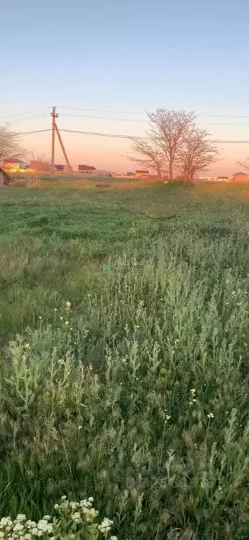 Участок в Крым, Сакский район, Молочненское с/пос, с. Витино ул. ... - Фото 1