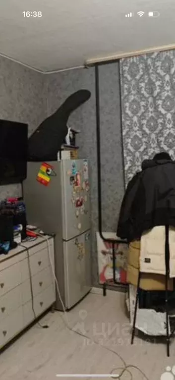 Студия Красноярский край, Красноярск ул. Щорса, 60 (19.5 м) - Фото 2