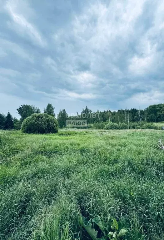 Участок в Московская область, Наро-Фоминский городской округ, д. ... - Фото 0